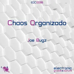 Chaos Organizado