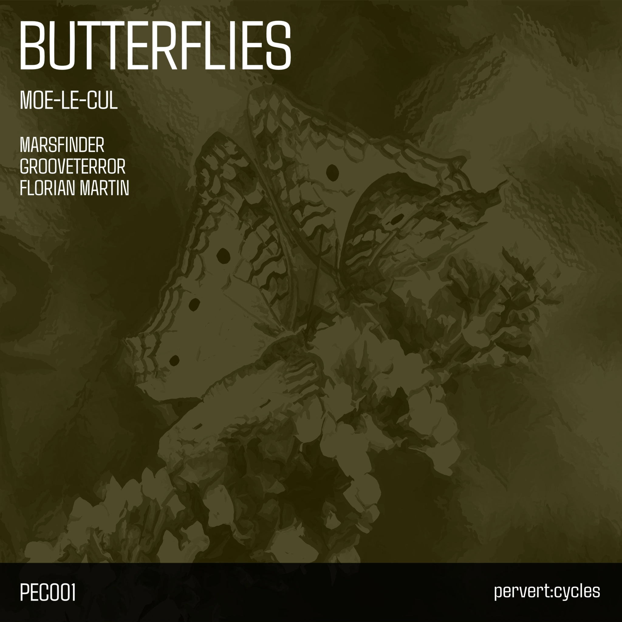 Butterflies Cover