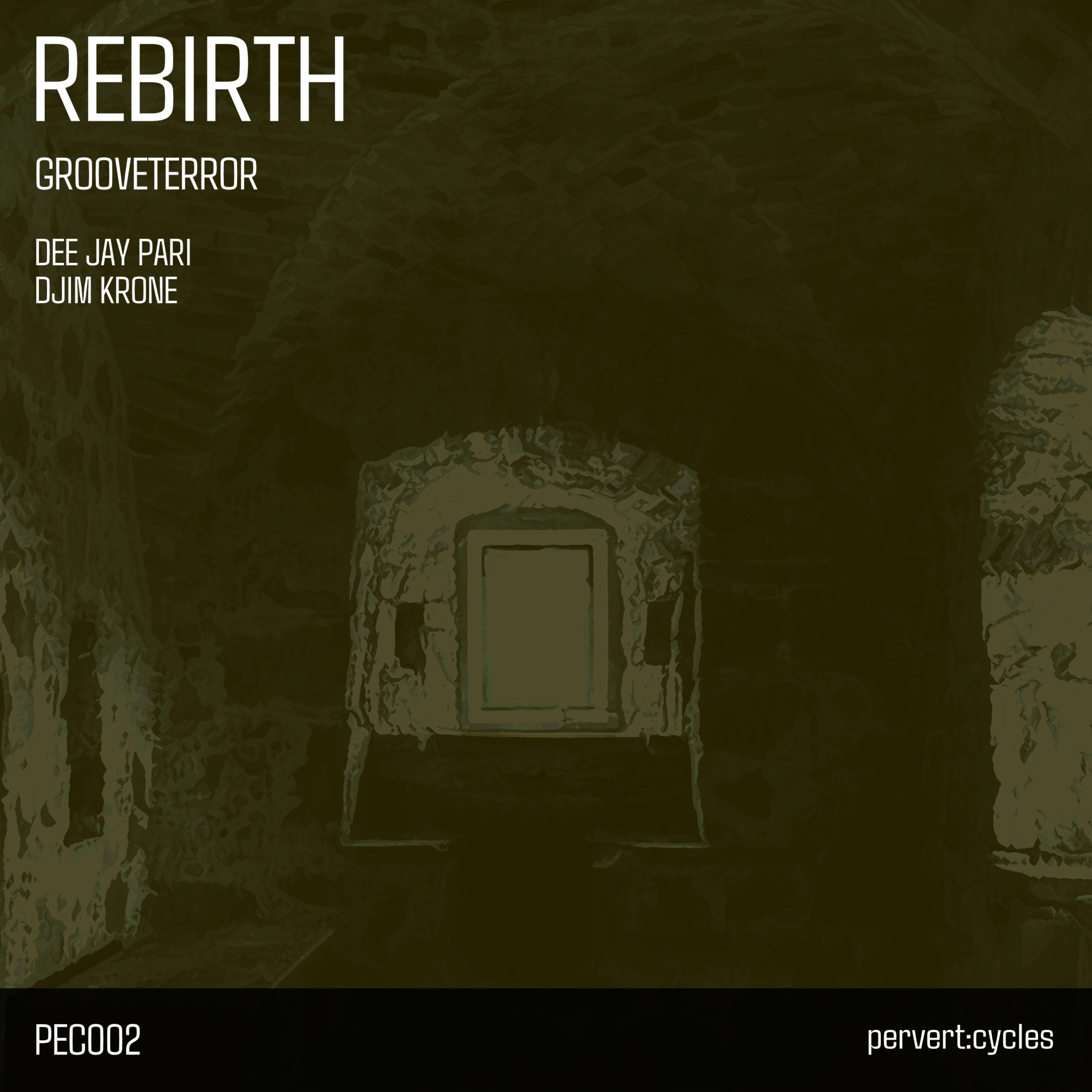 Rebirth Cover