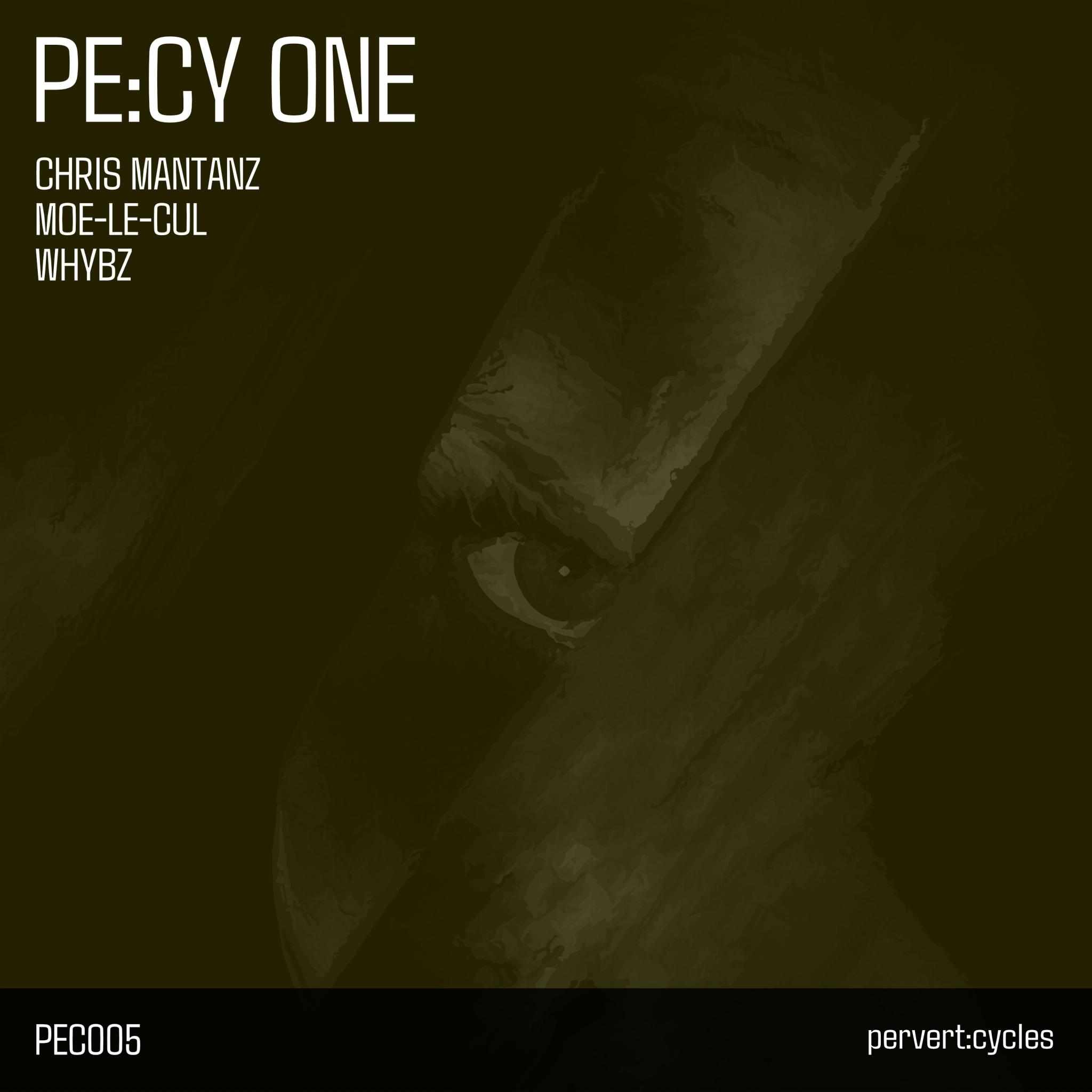 PE:CY ONE Cover