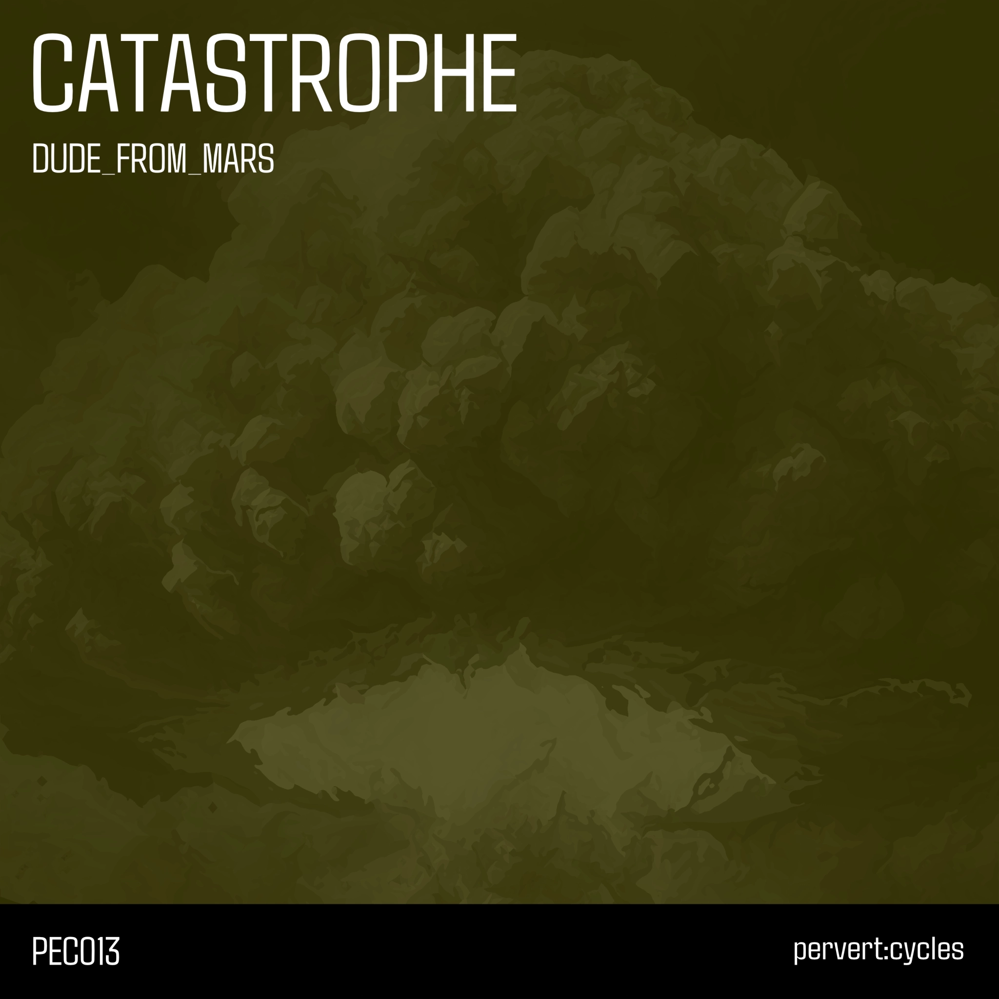 Catastrophe Cover