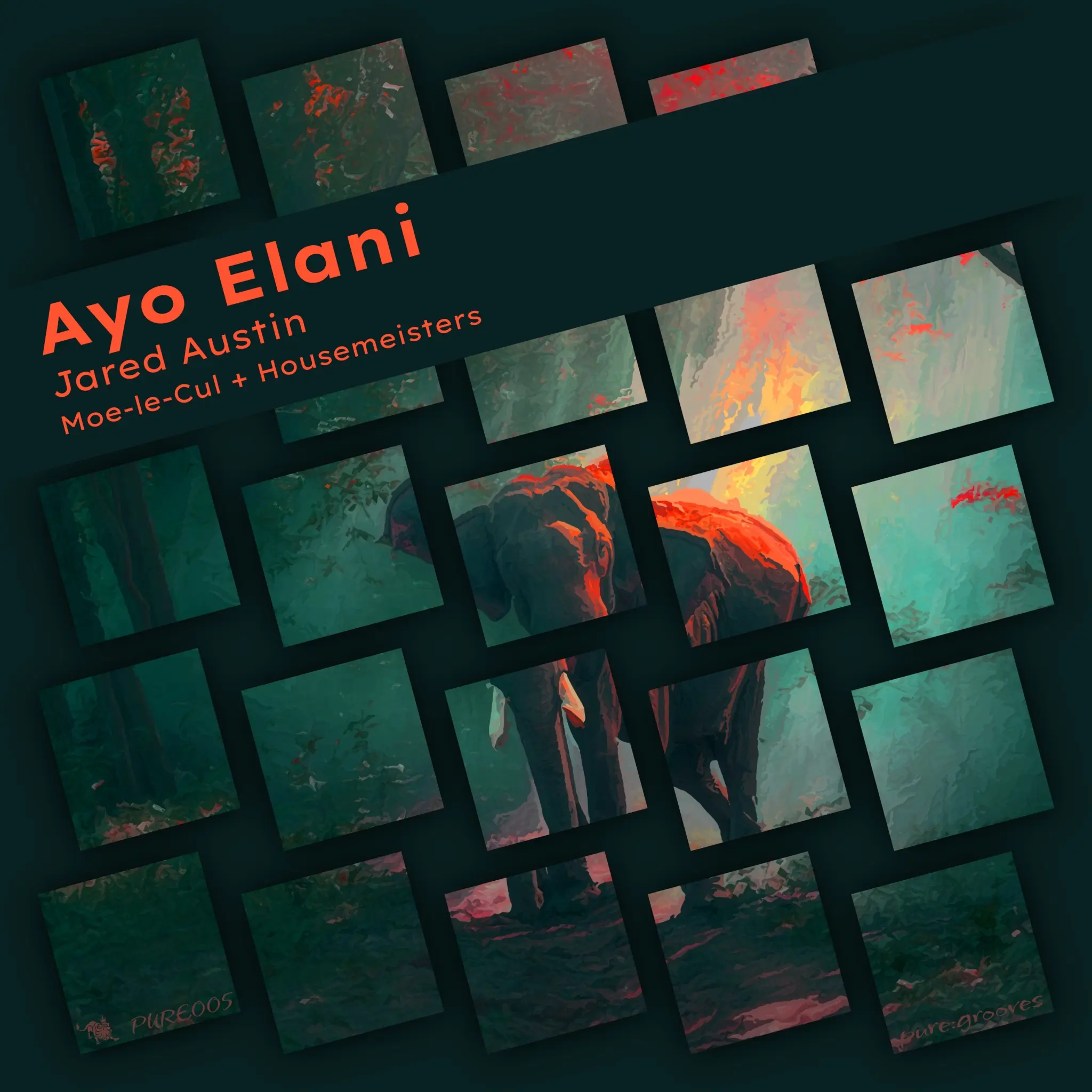 Ayo Elani Cover